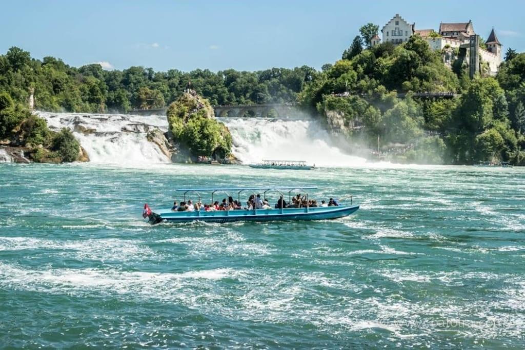 Schoene Einliegerwohnung 200M Vom Wasser Entfernt Штайн-ам-Райн Екстер'єр фото